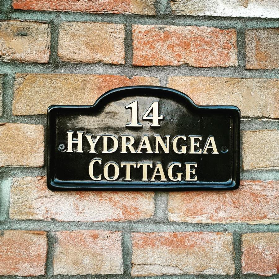 Apartment Hydrangea Arras Saint-Laurent-Blangy